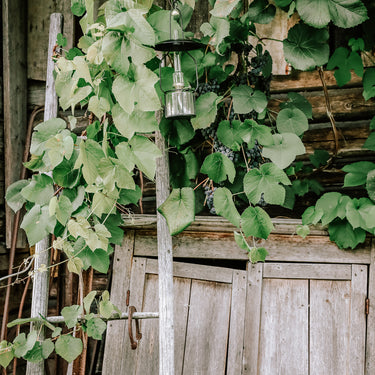 Õlilamp riputatava raamiga, must